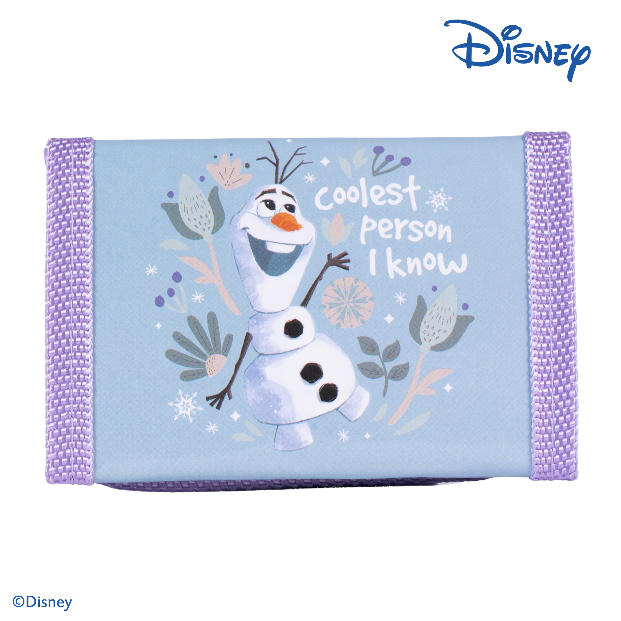 Billetera Frozen