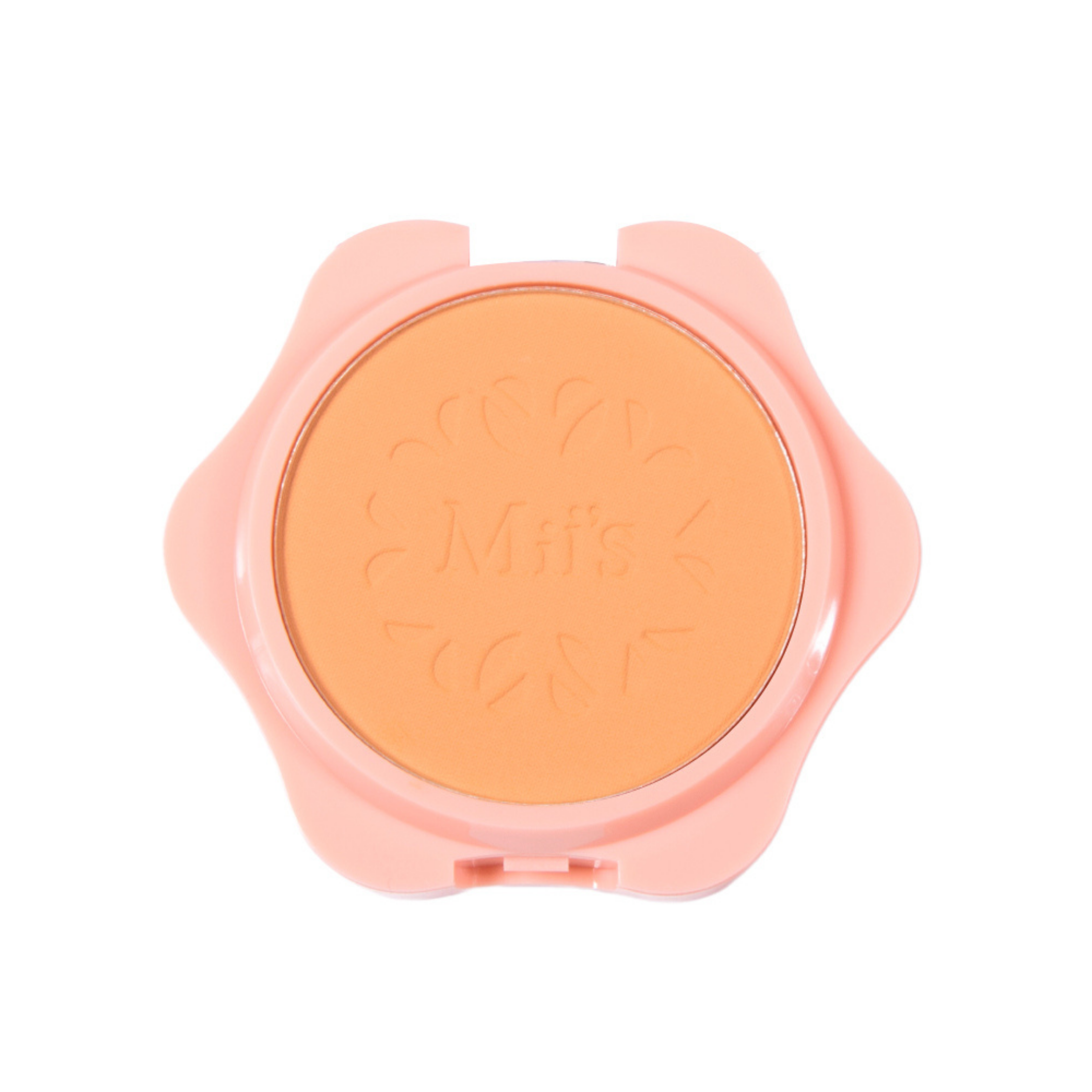 Polvo compacto perfect finish